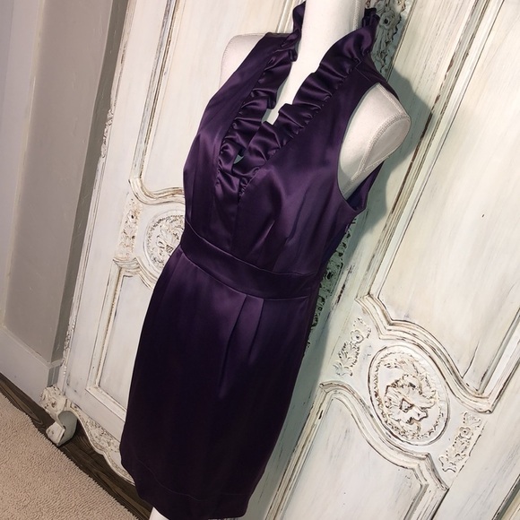 Just Taylor Gorgeous Purple Sleeveless Ruffle V Neck Waisted Party Dress Size 12 - Picture 3 of 10